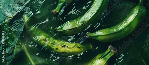 green bananas in water top view