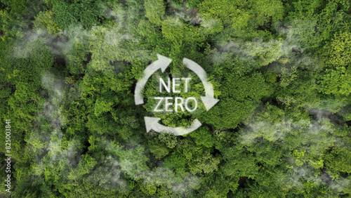 Eco ESG concept for environmental, social, sustainable and ethical issues. Net zero carbon dioxide by 2050