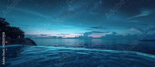 The photo shows a beautiful seascape at night