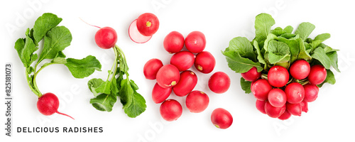 Red radish green leaves bunch collection isolated on white background.