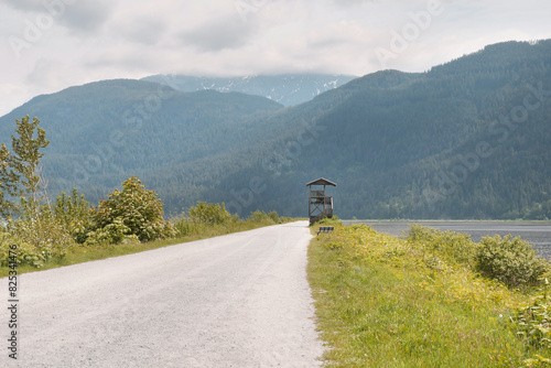 Grant Narrows Regional Park during a spring season in Pitt Meadows, British Columbia, Canada