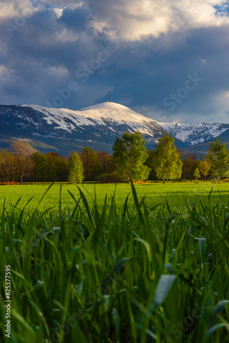 Wiosenny krajobraz Karkonoszy i zaśnieżona Śnieżka - Dolny Śląsk