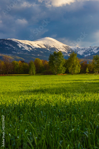 Wiosenny krajobraz Karkonoszy i zaśnieżona Śnieżka - Dolny Śląsk