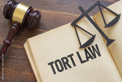 Tort Law is shown using the text in the book