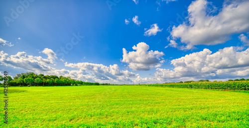 Big skyscape and a rustic landscape in The Netherlands. Featuring blue sky and white clouds.