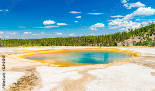 Scenic view of Geyser against forest and sky backdrop at Yellowstone National Park