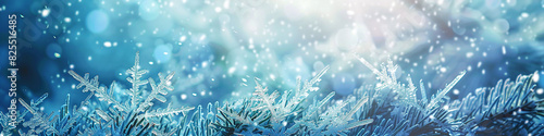 banner winter background - icy twigs and bokeh in blue and white for winter advertisement