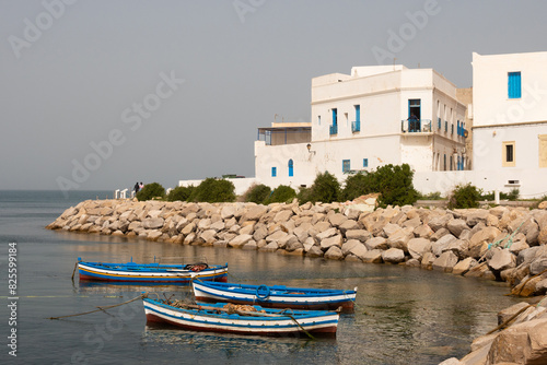 Traditional blue fishing boats floating on calm waters of Mediterranean Sea by stony shoreline, in front of Mahdia picturesque white buildings with vibrant blue windows, under clear sky