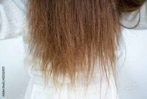 Cropped shot view of women's damaged split ended hair. Hair damage is risk for further damage and breakage.