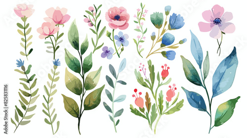 Hand painted floral elements Four Watercolor botany