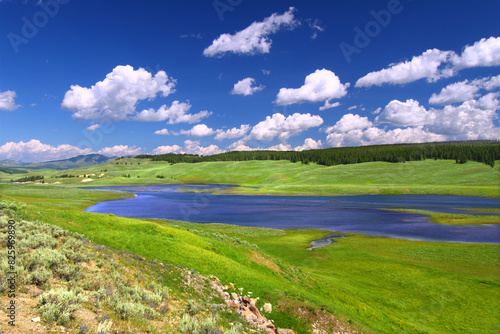 Yellowstone River Landscape Hayden Valley