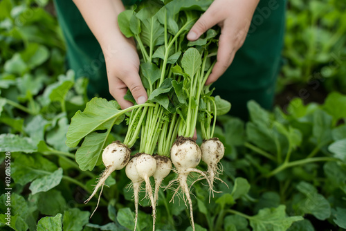 arafed radishes being held by a person in a garden