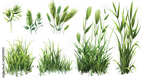 Realistic grass bushes. 3d isolated green vegetation