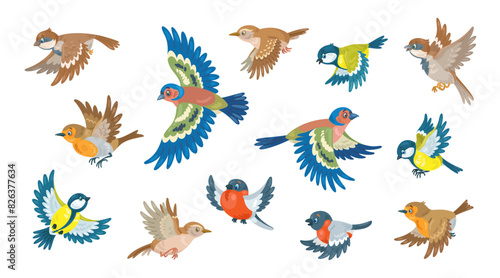Little birds are flying. Bullfinch, titmouse, finch, robin, wren and sparrow. Isolated on white background. Vector flat illustration.