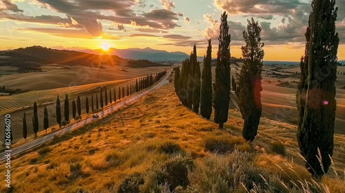  The sun is setting over rolling hills, with trees in the foreground and a winding road visible