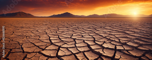 Barren land. Landscape with dry, dead, cracked soil. Summer drought destroys plants. Global warming destroying life on the planet. Environmental ecological problems. Concept of natural disasters.