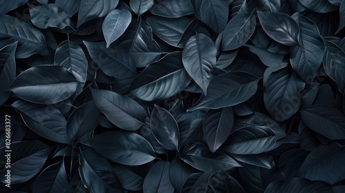 A close up of dark green leaves with a mood of mystery and intrigue. The leaves are arranged in a way that creates a sense of depth and texture, making the image feel almost three-dimensional