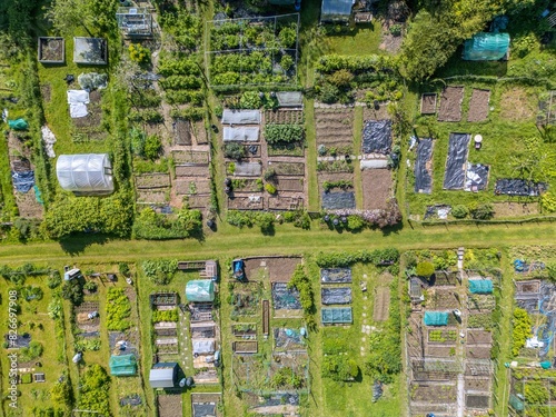 Aerial view of Communal allotments in Guilford, Surrey, England. Plots of land cultivated by the tenants for food production.