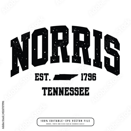 Norris text effect vector. Editable college t-shirt design printable text effect vector