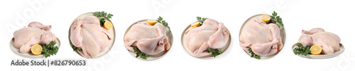 Set of whole raw chicken isolated on white, different sides