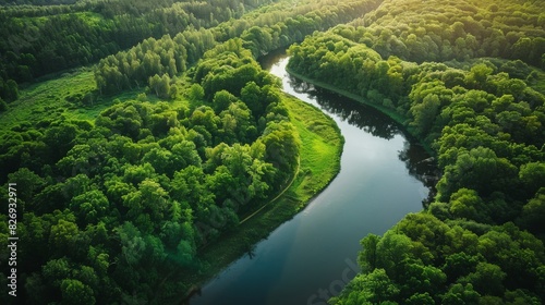 An aerial view of a lush green forest divided by a winding river, symbolizing climate change and environmental protection