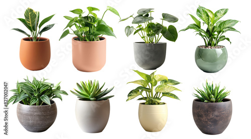 set of green plant potted in flower pot cutout