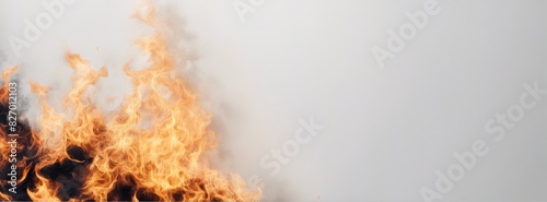 Intense flames rising against a white background, symbolizing heat, danger, and energy in a dynamic visual of fire.