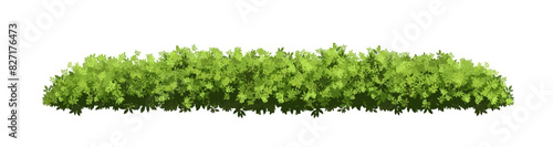 Vector watercolor green tree or grass side view isolated on white background for landscape and architecture drawing,elements for environment or garden,botanical element for exterior section in spring