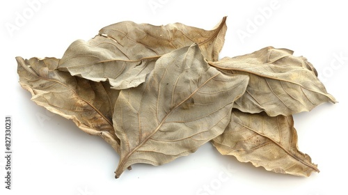 Dry Bhringraj leaves isolated on white background