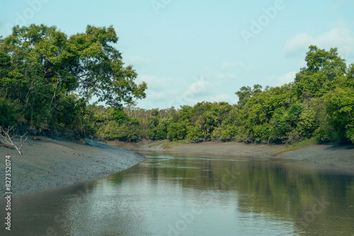 The Sundarbans Mangrove forest