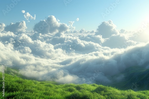 Green Field and White Cloudscape