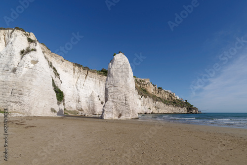 Scialara beach with Pizzomuno rock, Vieste, Apulia, Italy