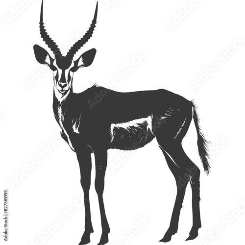 Silhouette impala animal full body black color only