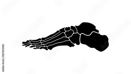 foot bones, black isolated silhouette