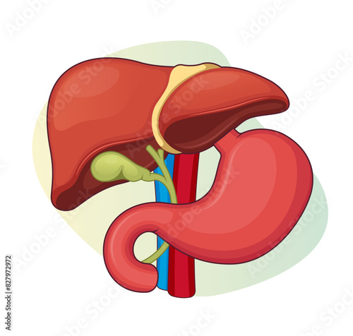 Gall Bladder Icon stock illustration