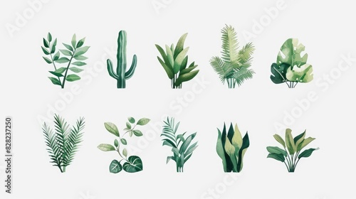 A collection of 12 minimalist plant icons, each representing different plants like cacti, ferns, and succulents, elegantly displayed on a white background