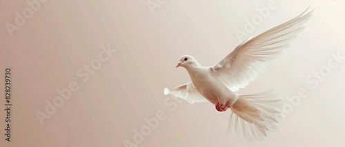 A unique interpretation of peace and freedom with a white dove