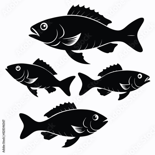 Set of Black Bass animal vector on white background