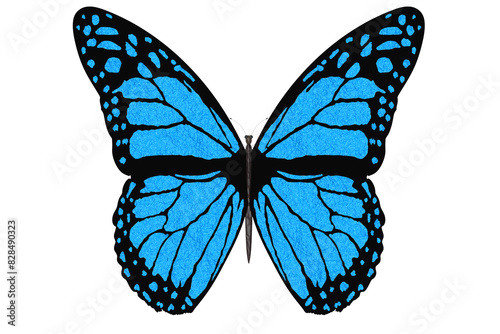 PNG. Trasparente. Farfalla colorata vola con le ali aperte su sfondo bianco..