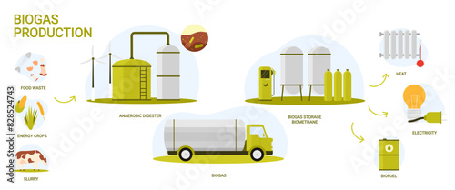 Biogas, bio energy production in industrial infographic scheme with process stages. Biomass of organic food and livestock waste processed into biofuel, electricity and heat cartoon vector illustration