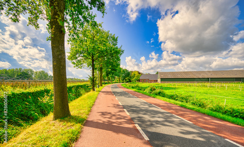 Country road in a rural landscape in The Netherlands. Featuring blue sky and big white clouds.