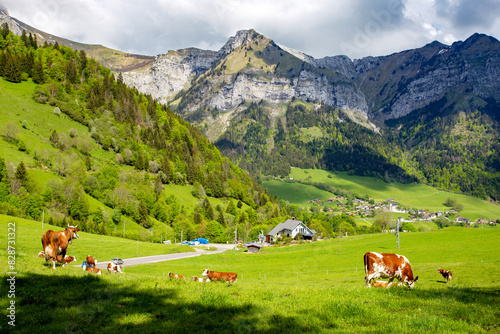 Annecy mountains Col de la Forclaz, Rhone alps in France.