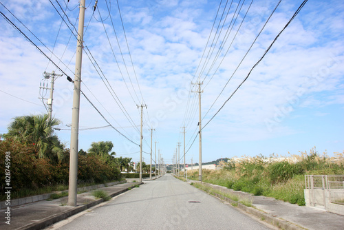 道路と電柱