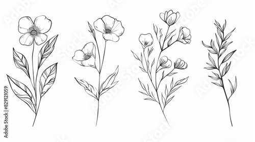 Trendy floral branch and minimalist flowers for logo or decorations. Hand drawn line wedding herb, elegant leaves for invitation save the date