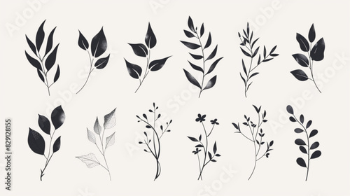 Set of elegant floral logo elements. Borders and dividers, frame corners and branch. Hand drawn line wedding herb