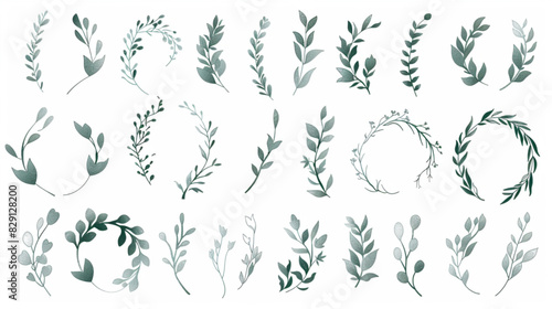 Set of elegant floral logo elements. Borders and dividers, frame corners and branch. Hand drawn line wedding herb