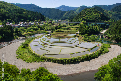 あらぎ島 水張 5月 和歌山県 有田川町 田園