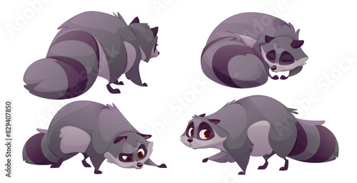 Cute racoon character. Funny raccoon cartoon illustration set. Wild animal bandit mascot emotion collection. Adorable sleeping or searching for smell lovely tail graphic asset for wildlife game