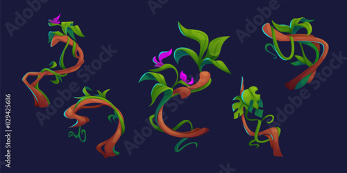 Jungle liana vine branch. Forest climbing vector. Isolated tropical creeper wood trunk with flower botanical decoration. Exotic twisted rainforest border asset collection. Foliage garden element