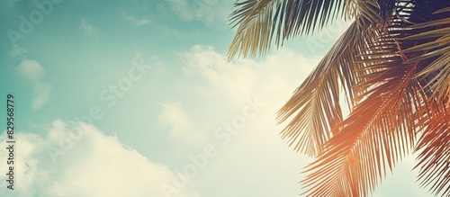 Vintage background with a retro toned poster featuring coconut palm tree foliage against a sky backdrop providing a serene copy space image